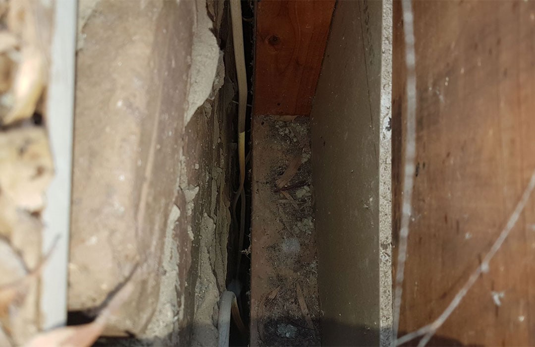 insulation removal adelaide